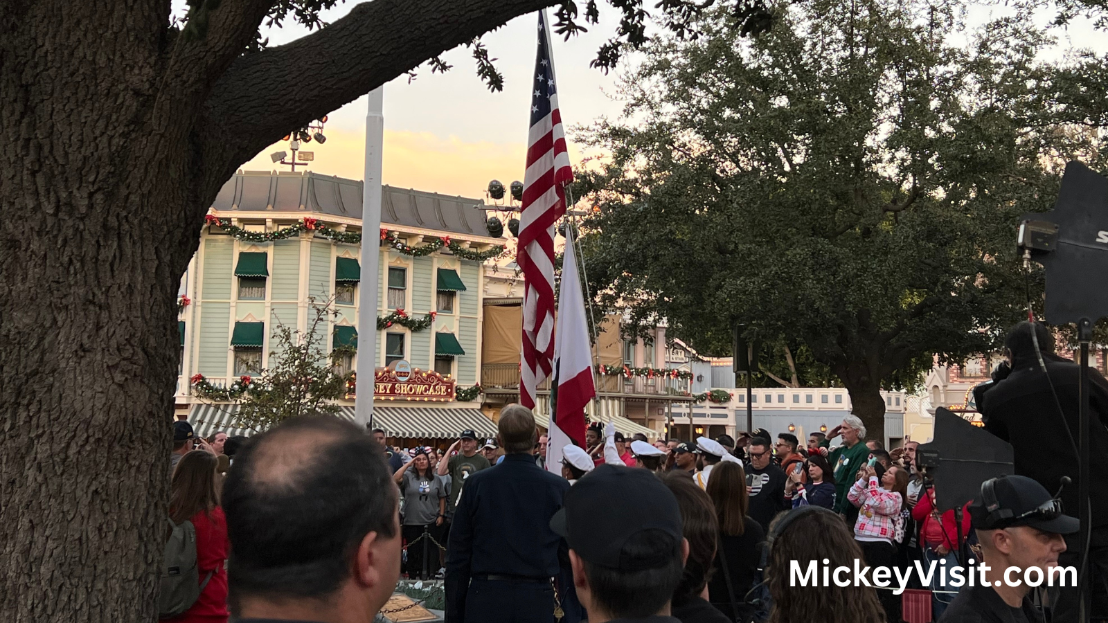 Veterans Day Disneyland