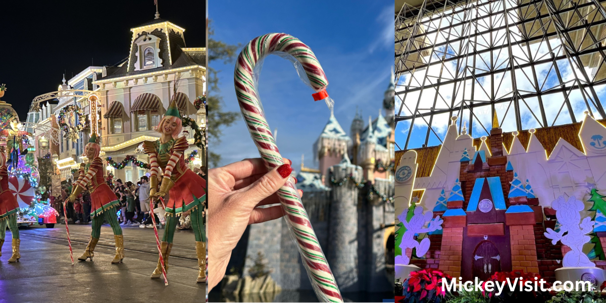 Disney World Disneyland