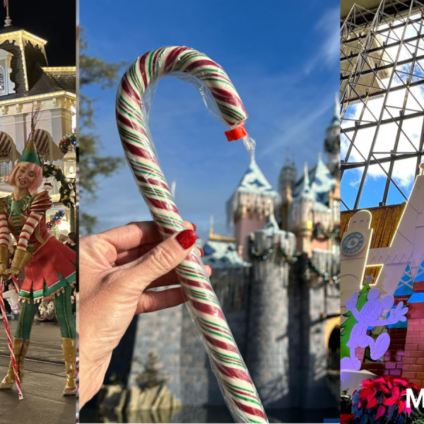 Disney World Disneyland