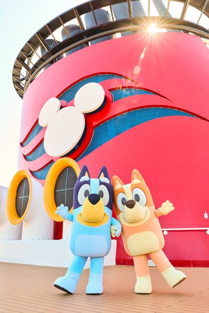 bluey on disney cruise line