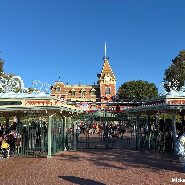 Disneyland holidays entrance gate