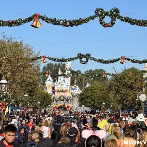 Disneyland crowds