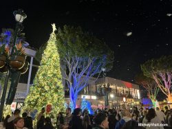 Downtown Disney Parking Guide - Cost, Parking Validation Options, Where