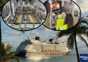 disney cruise line below deck