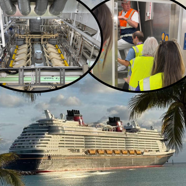 disney cruise line below deck