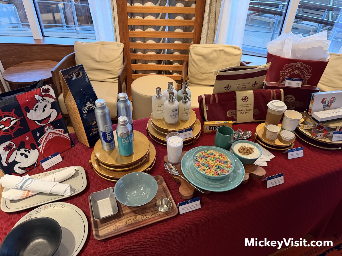 disney cruise line recyclable items