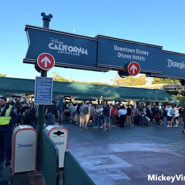 disneyland security from harbor boulevard side