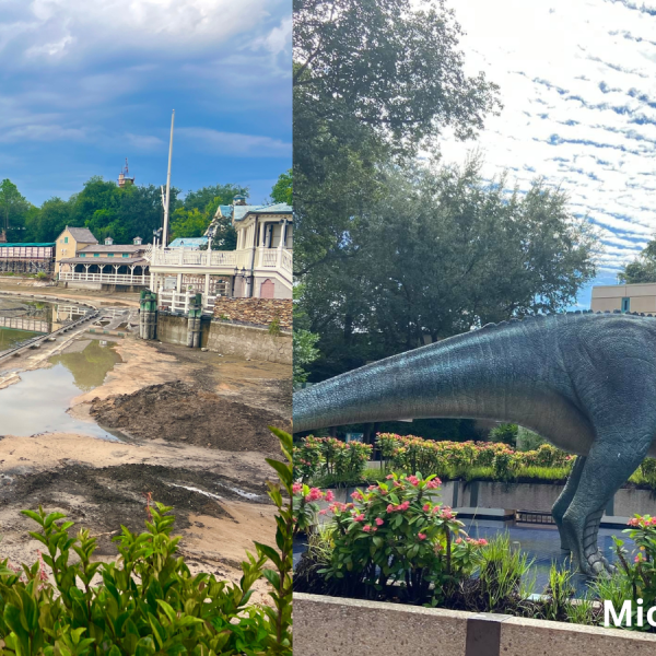 Disney World construction