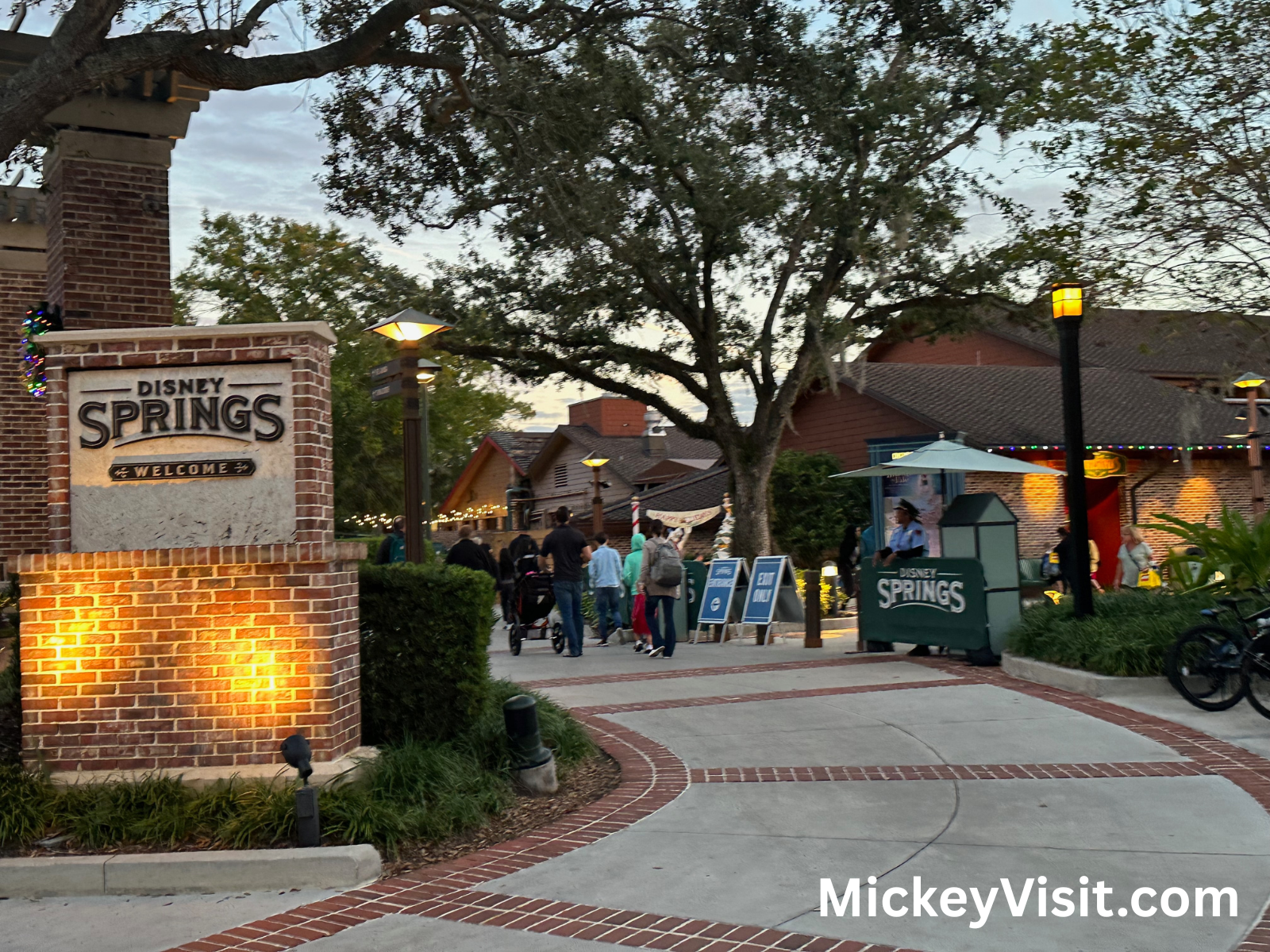 Disney Springs