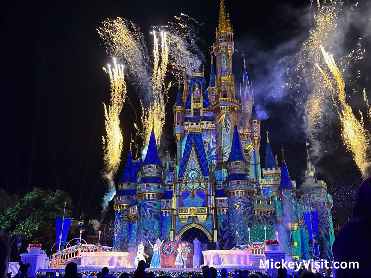 Disney World Castle Show