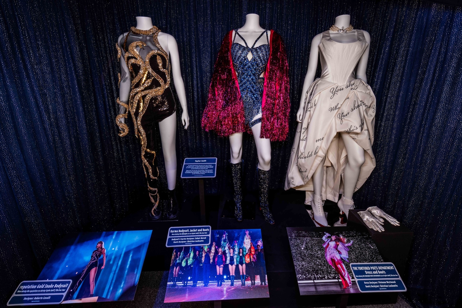 Taylor Swift Costumes