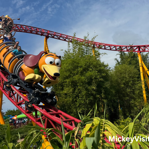 Slinky Dog Dash