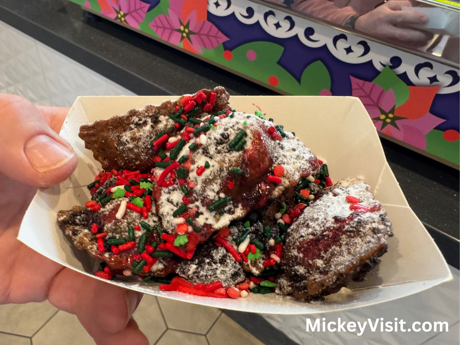 EPCOT holiday ravoli