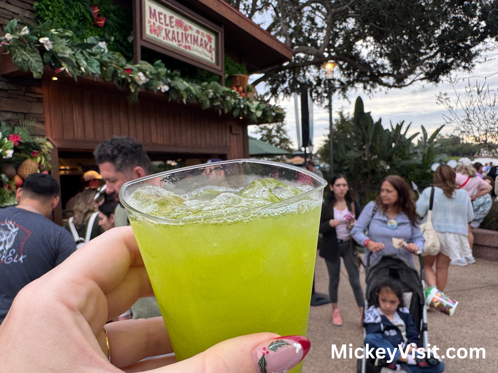 Holiday kitchen epcot
