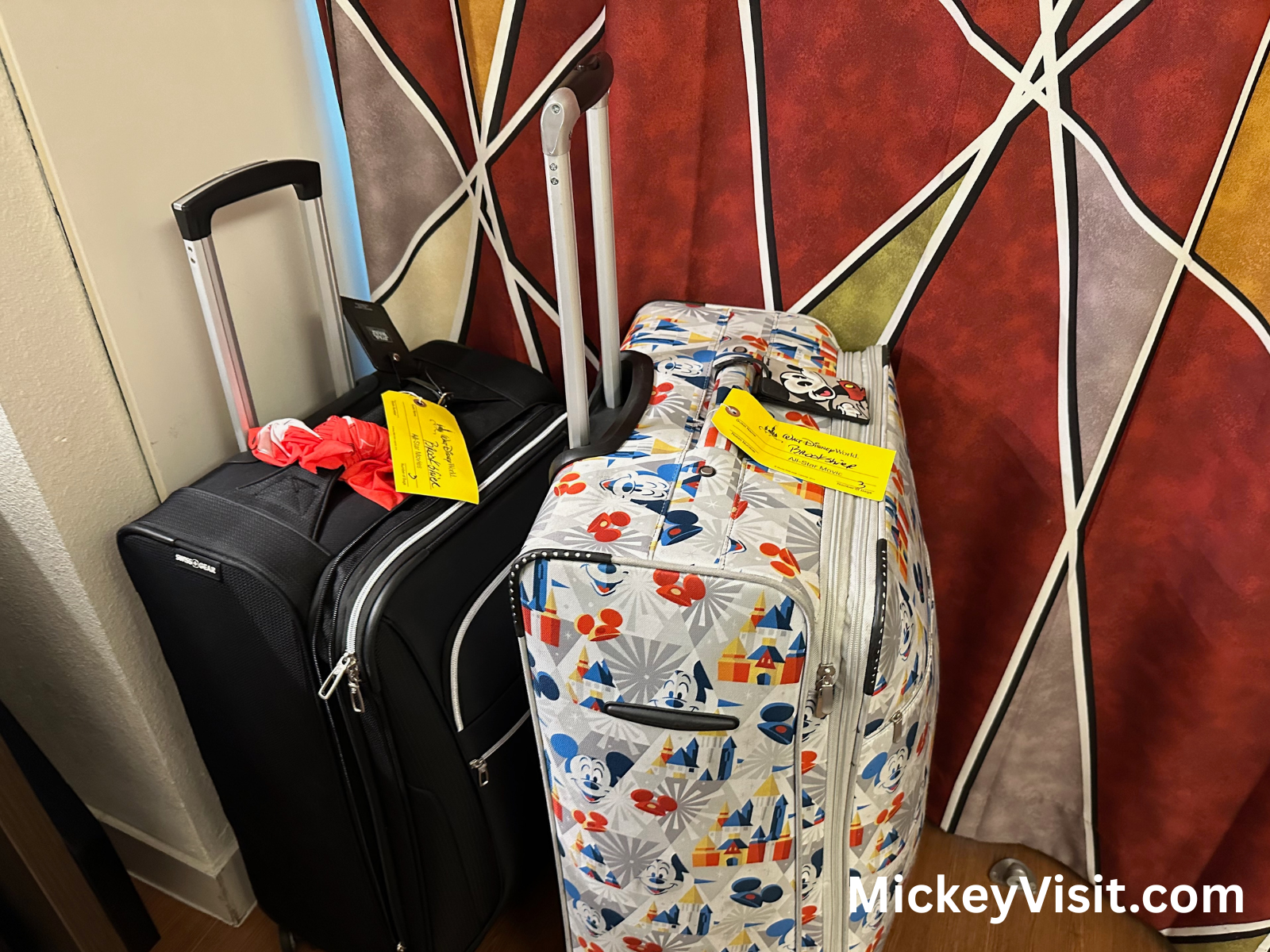 Disney luggage transfer