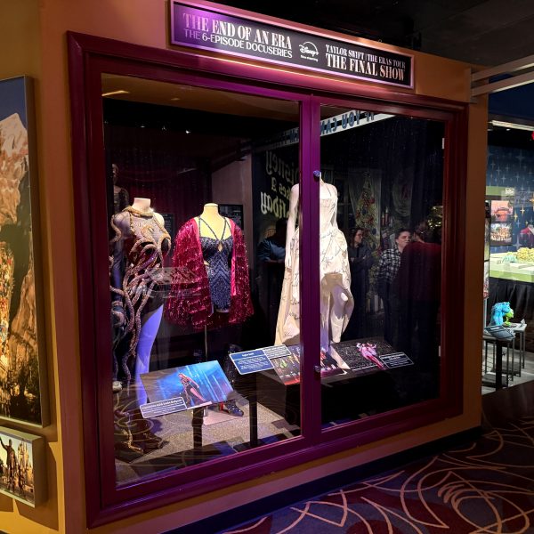 Taylor Swift Eras Tour Costumes