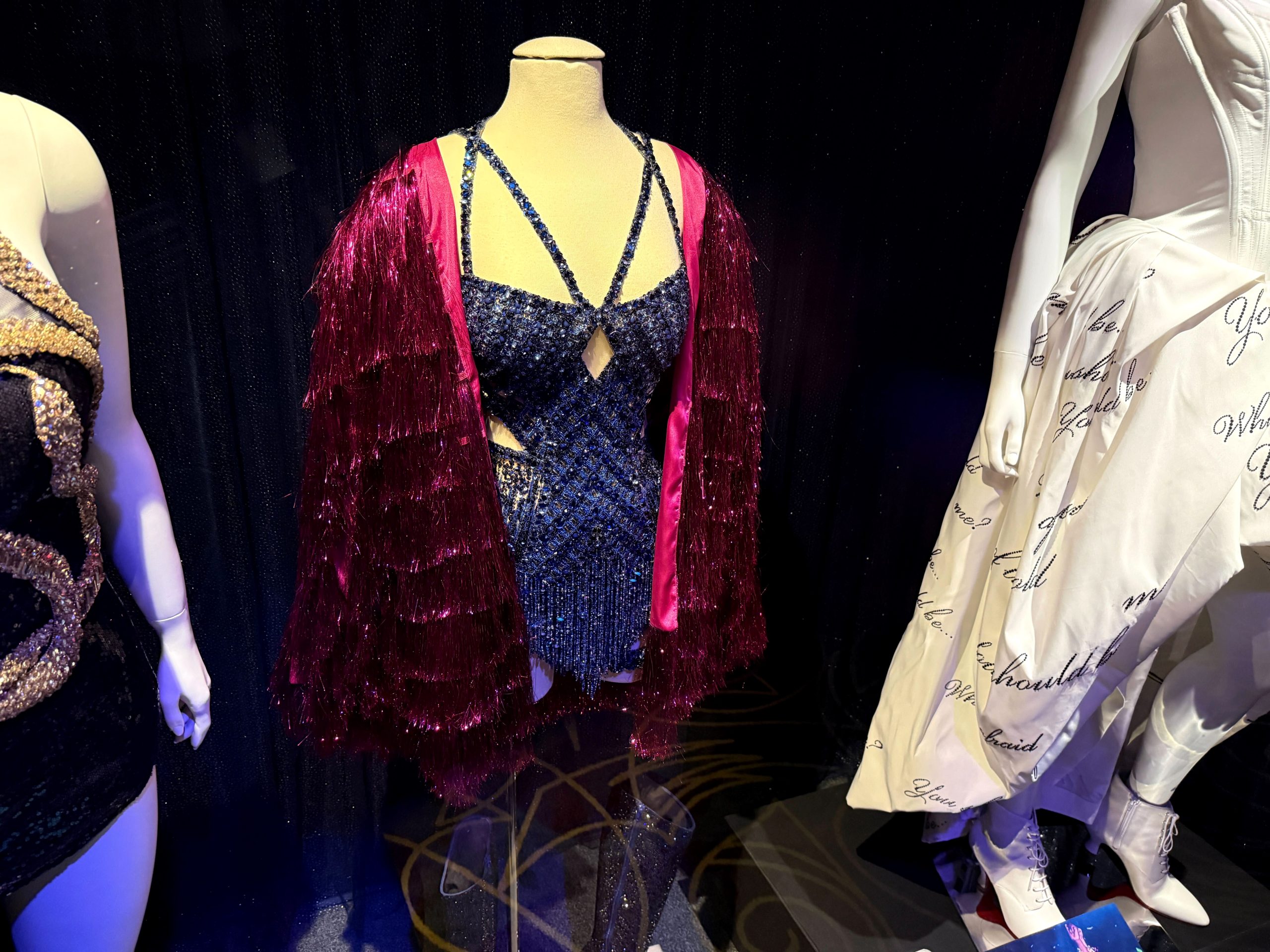 Taylor Swift Eras Tour Costumes