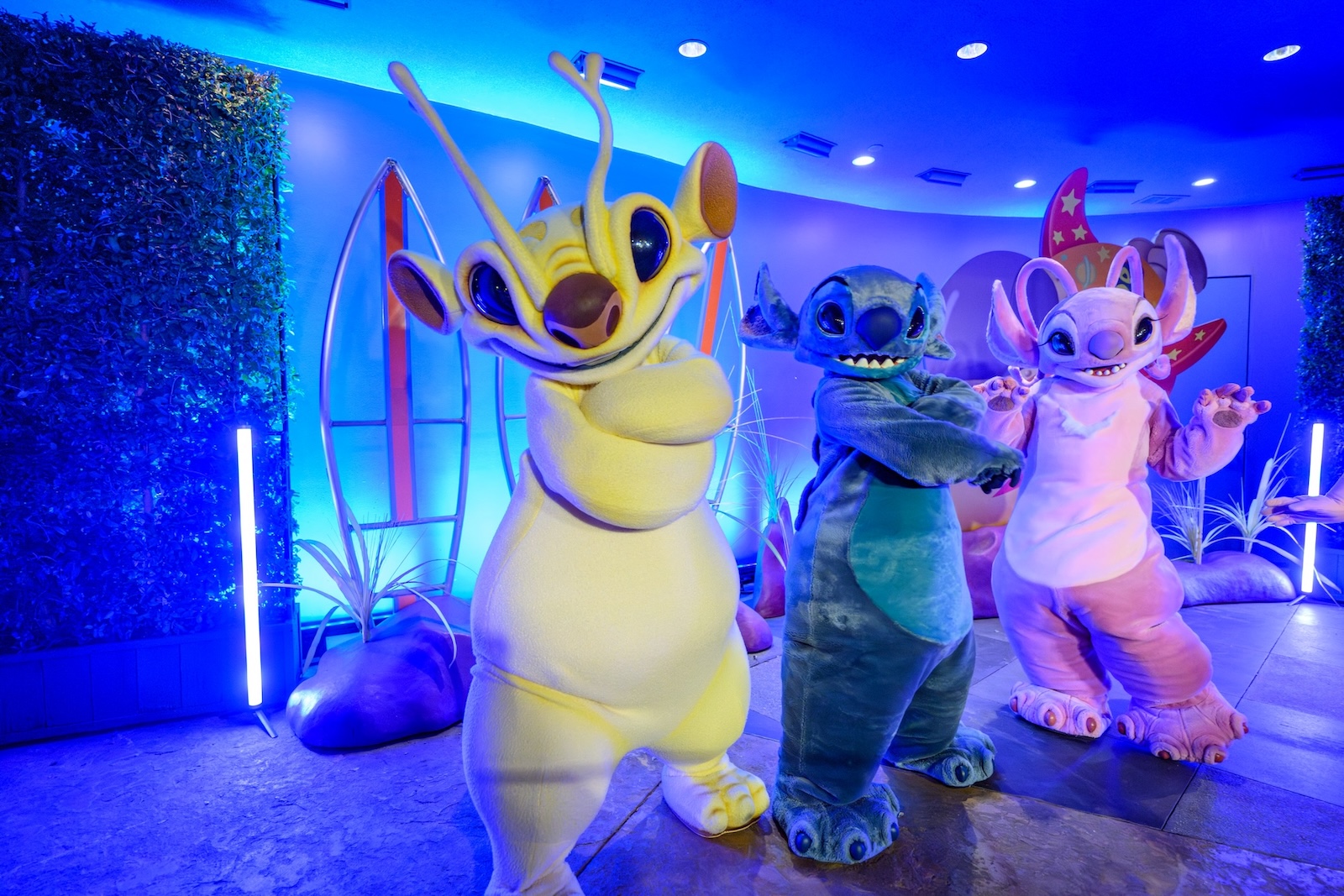 Disney-Channel-Nite.jpg