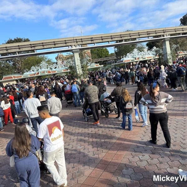 Disneyland entrance line