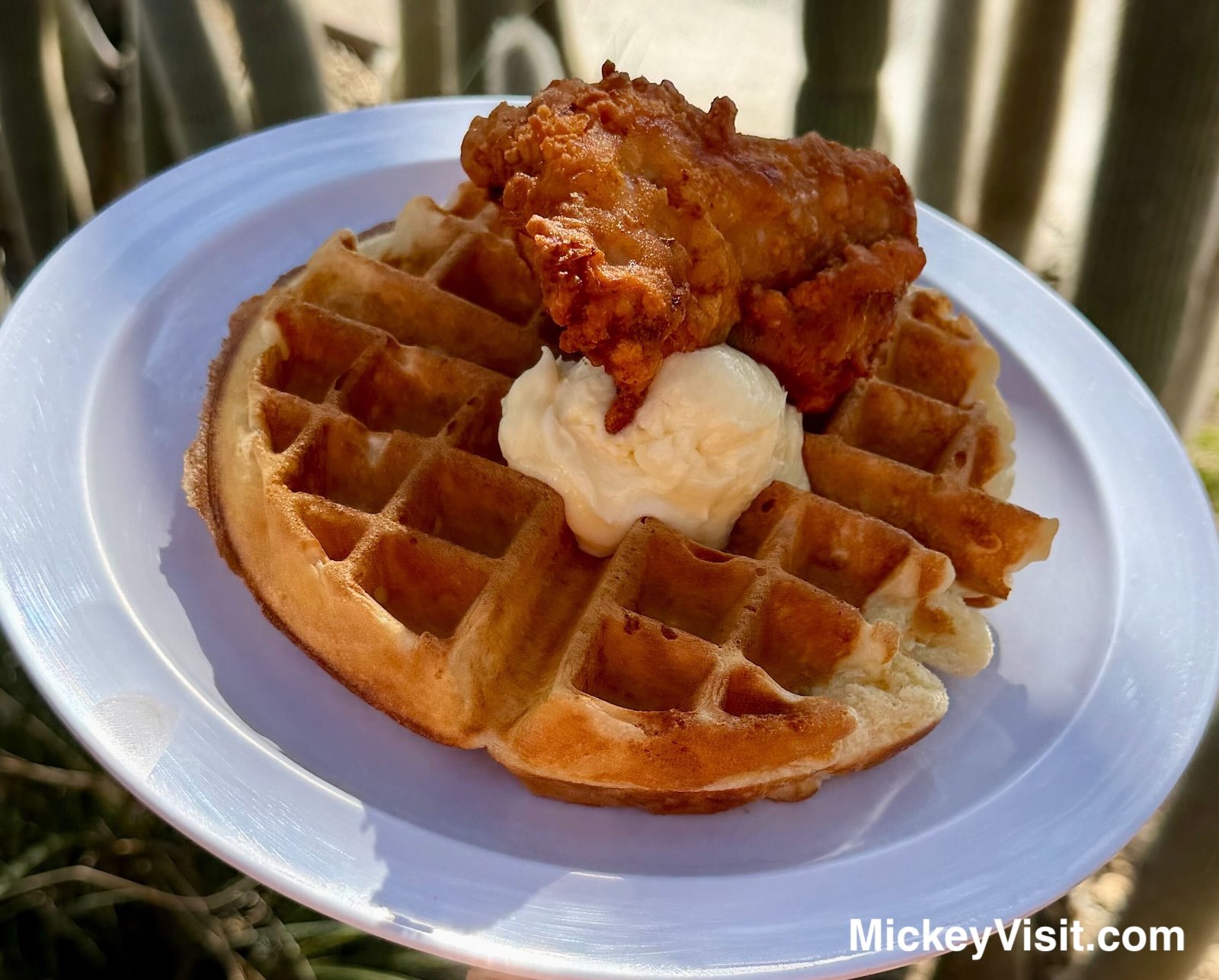 Winner’s Circle Chicken and Waffle Flo's V8 Cafe