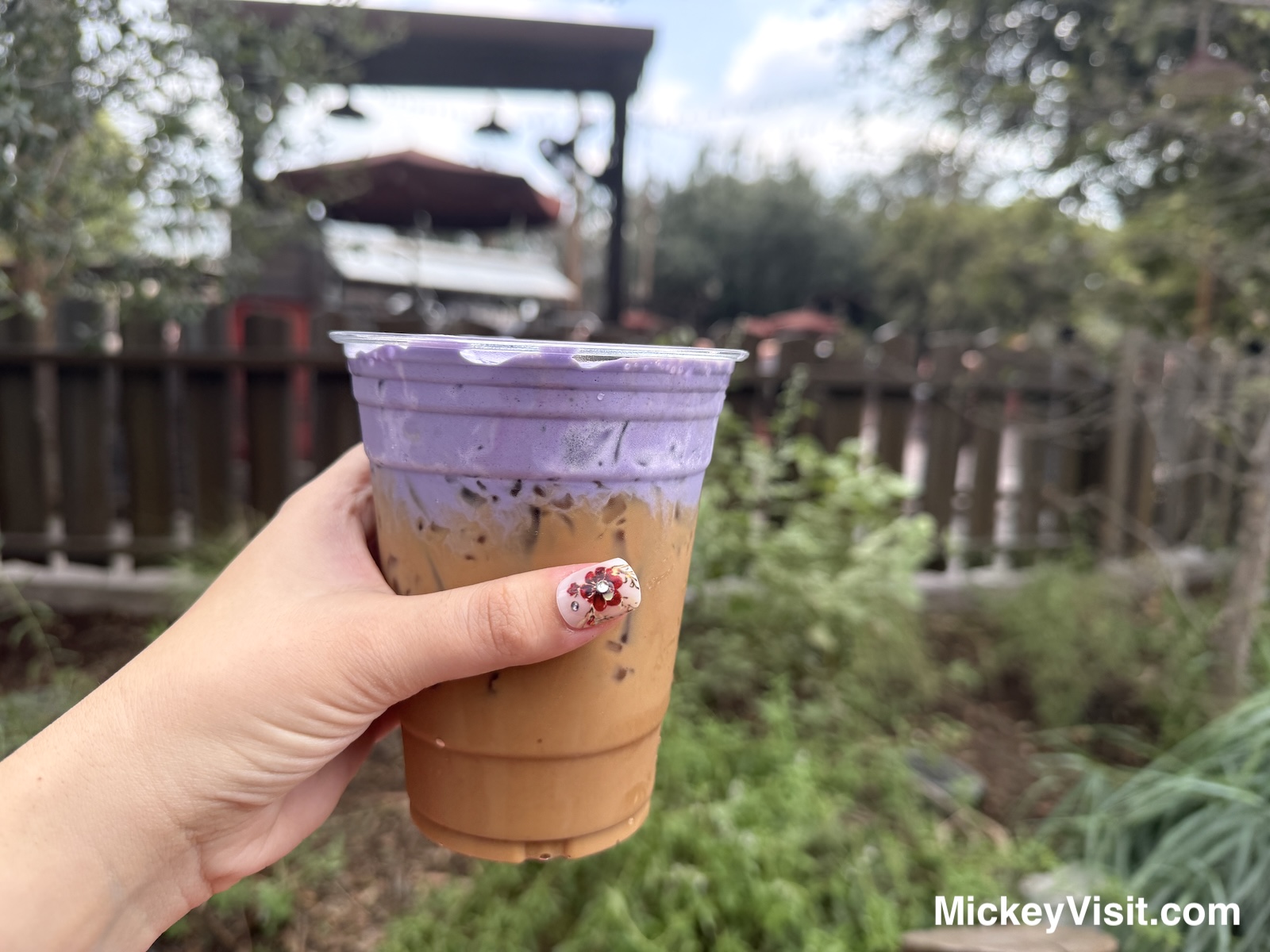 Taro Vietnamese Cold Brew