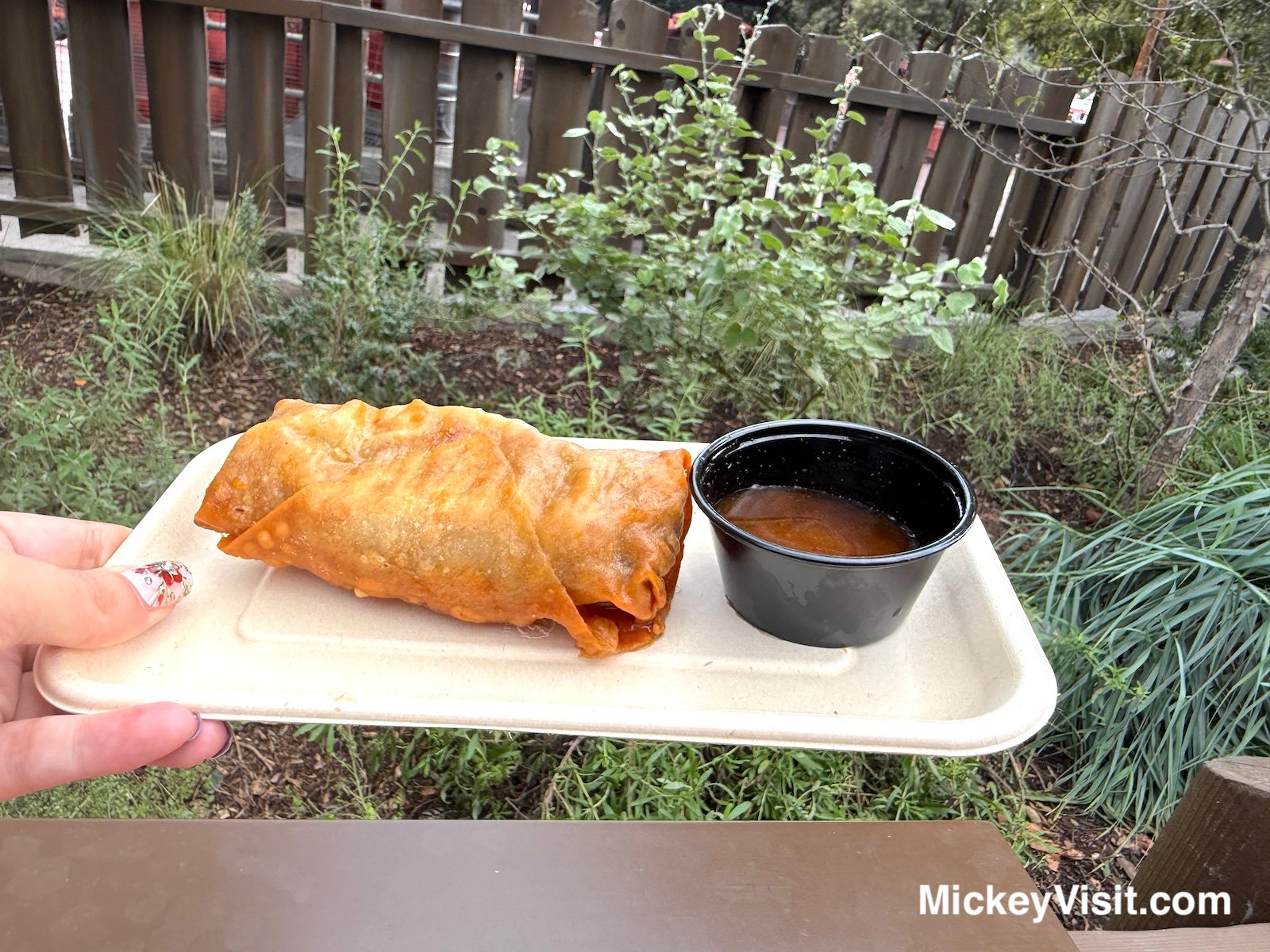 Quesabirria Eggroll Lunar New Year Disney California Adventure