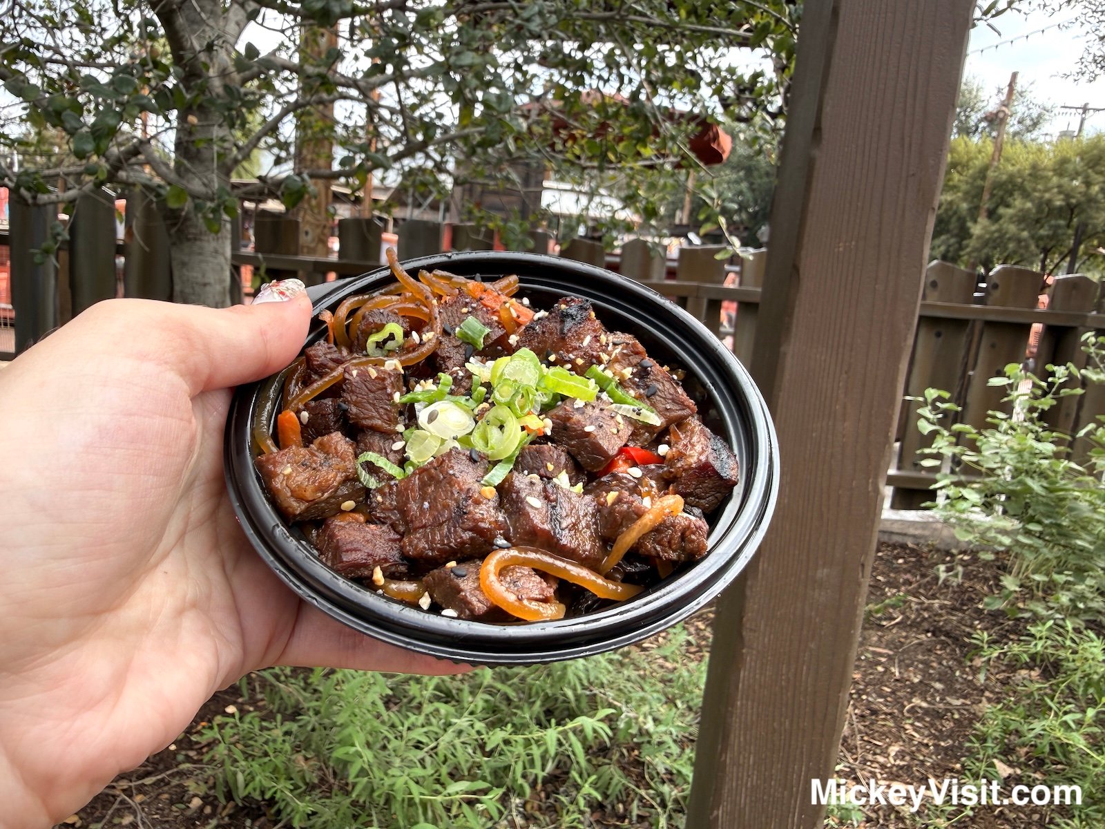 Japchae Noodles with kalbi short rib Lunar New Year foods Disneyland