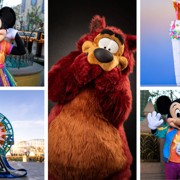 California Adventure anniversary