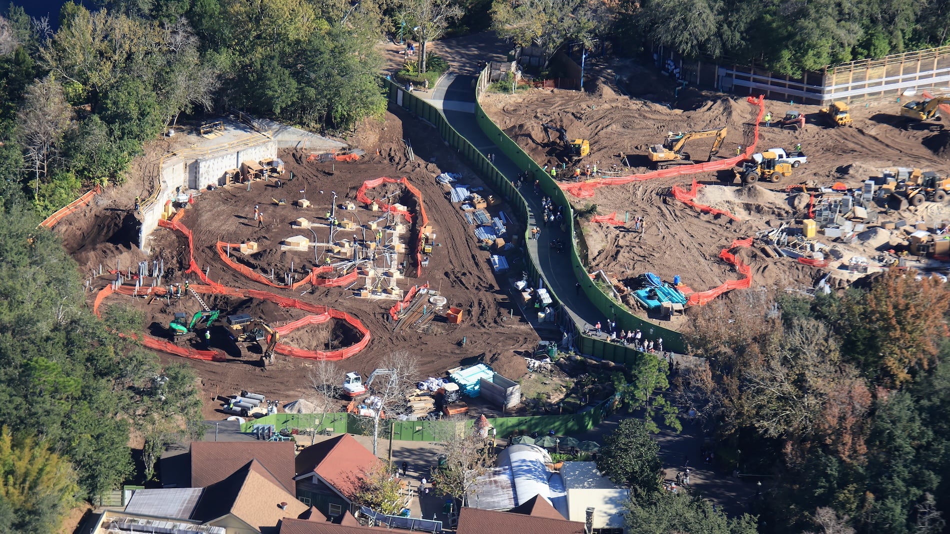 Animal kingdom construction