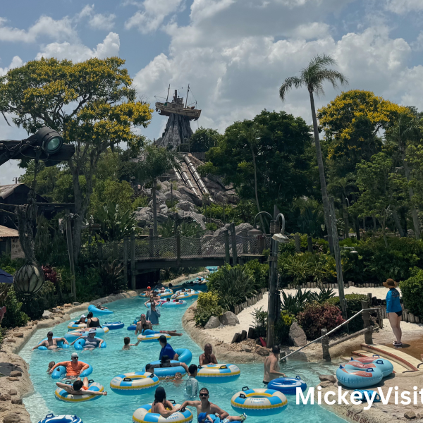 Disney World water park