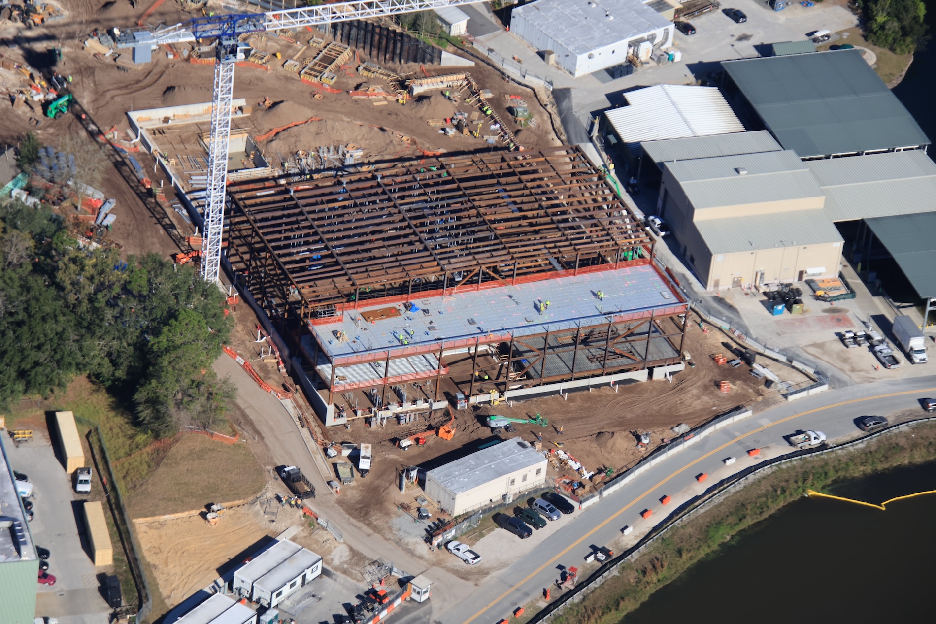 View of animal kingdom
