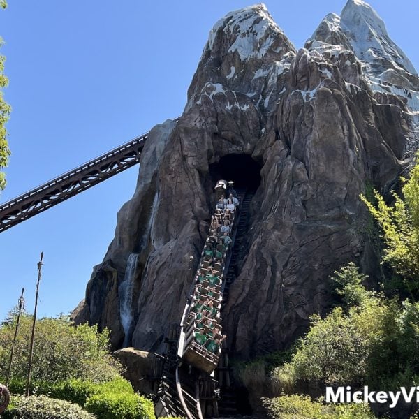 expedition everest roller coaster at animal kingdom