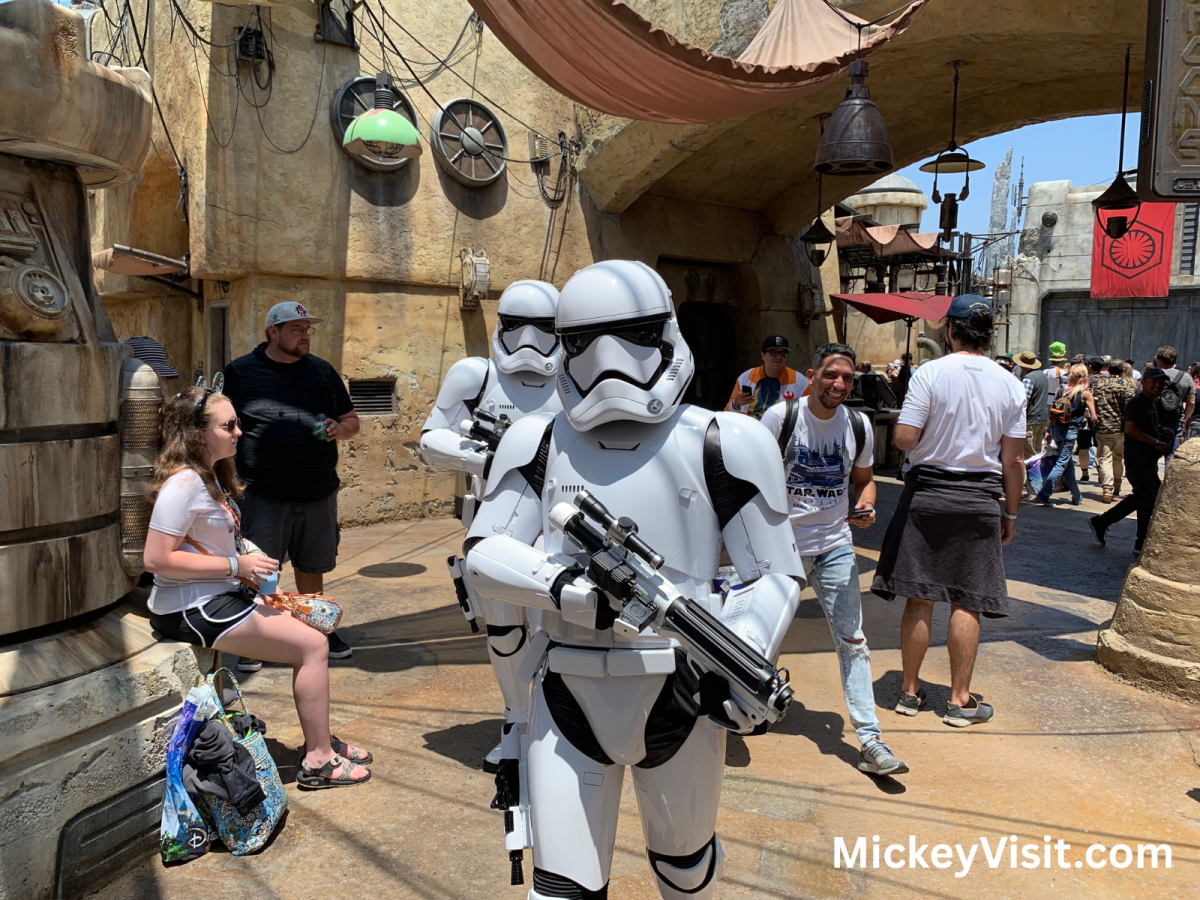 Star Wars land
