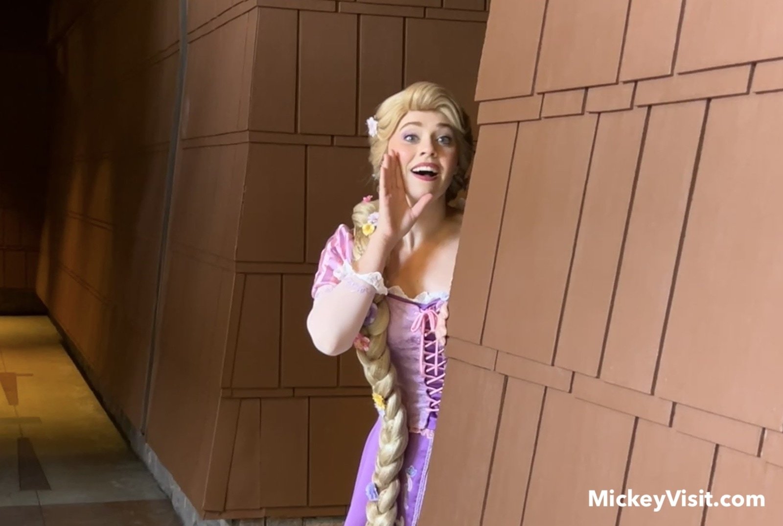 Rapunzel at Grand Californian