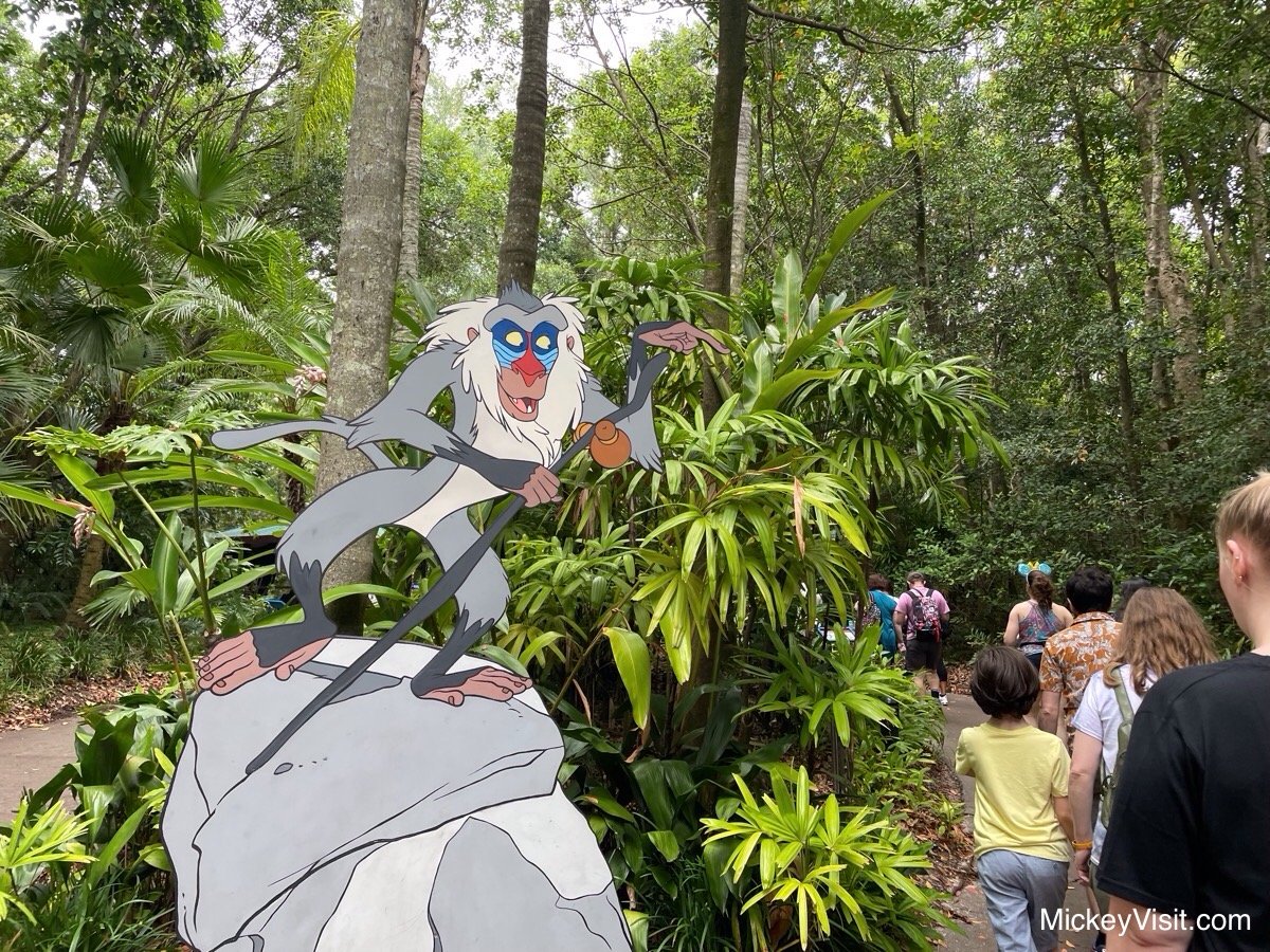 Conservation Station