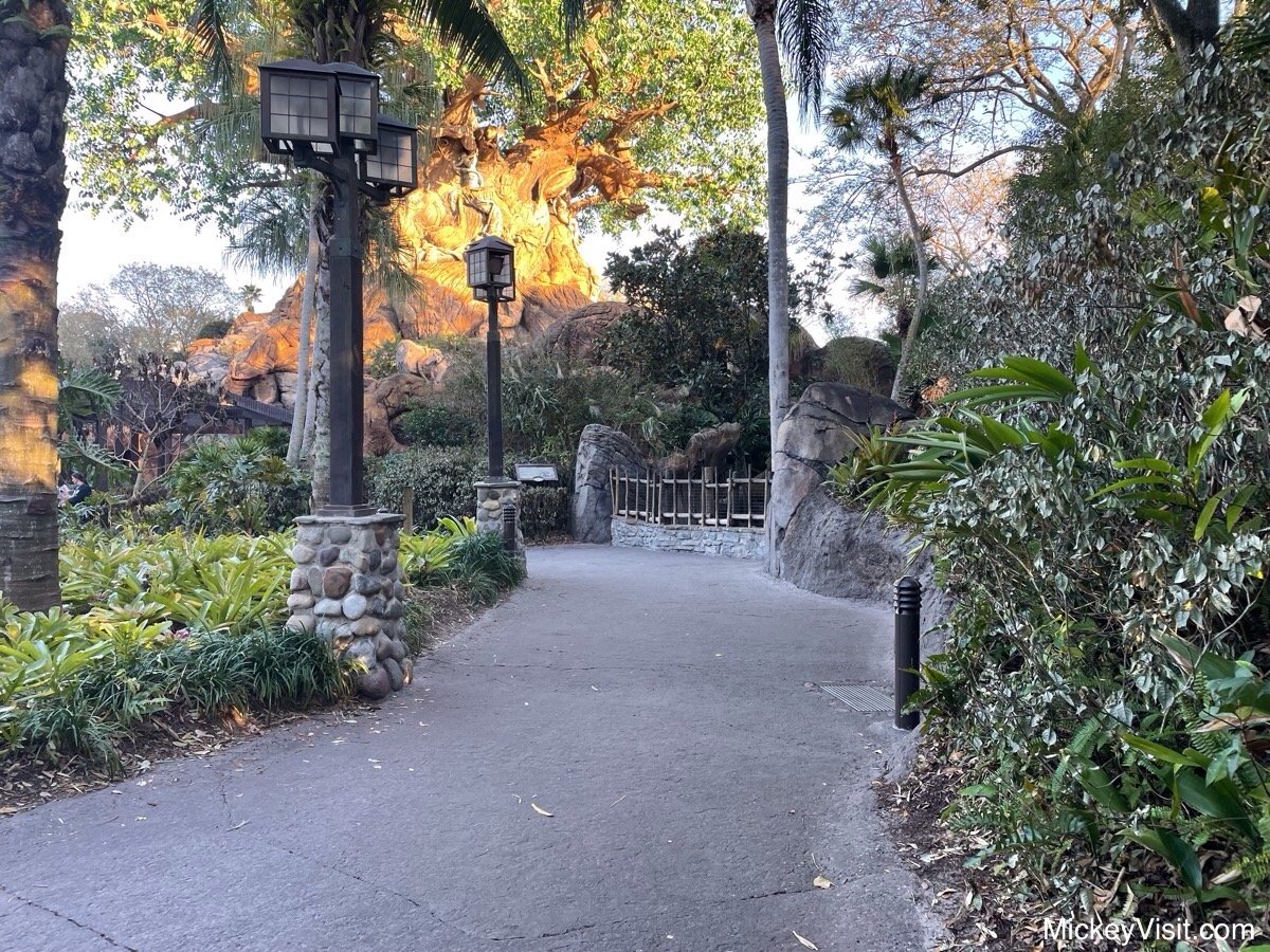 Discovery Island Trail
