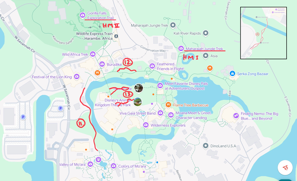 Animal Kingdom Pathways