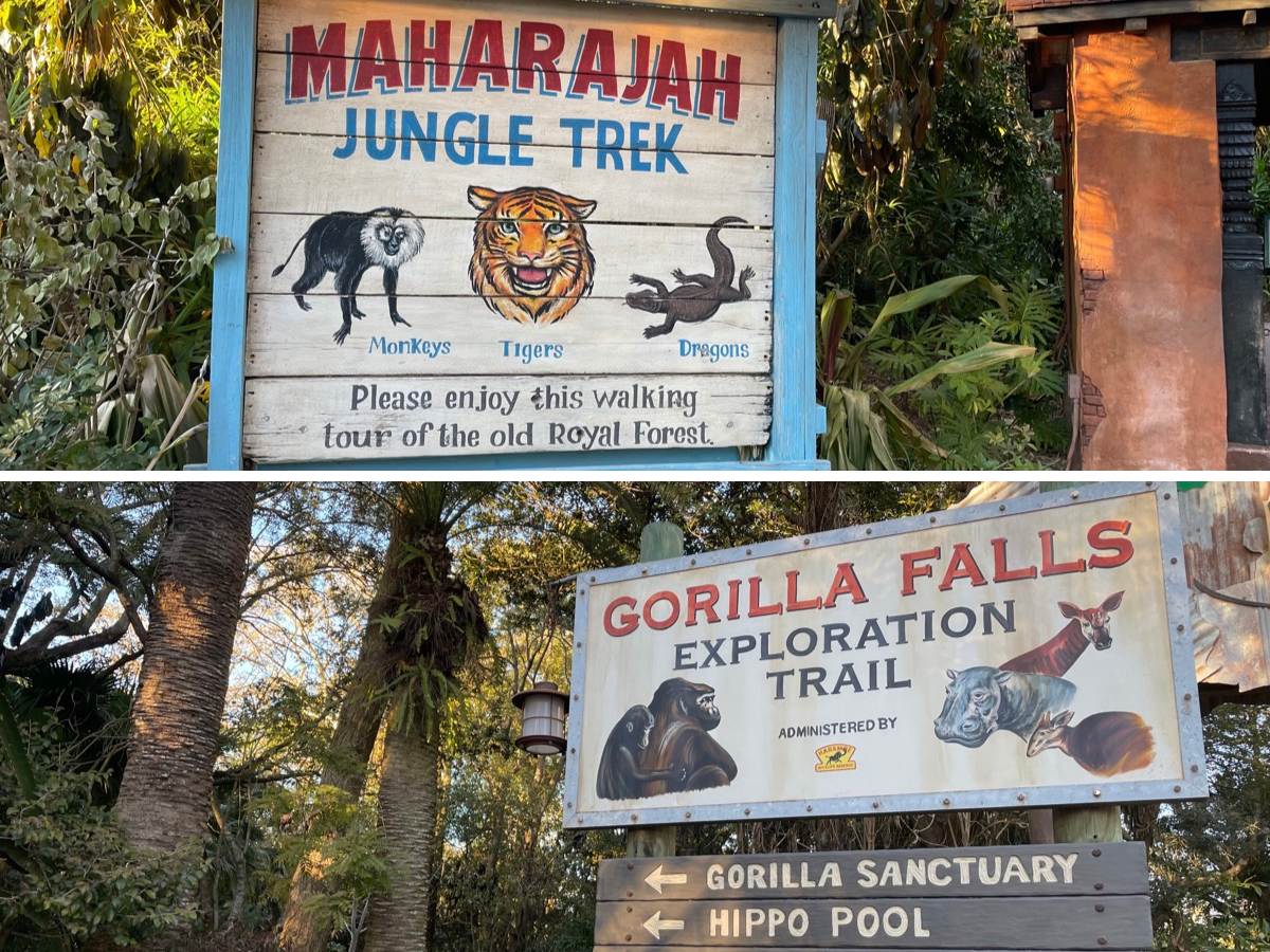 Animal Kingdom Trails
