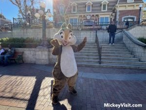 disneyland chip on main street