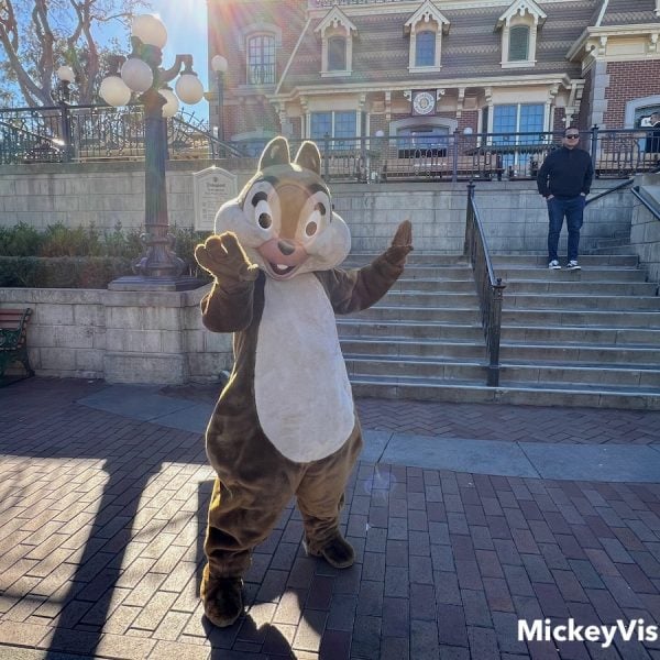 disneyland chip on main street