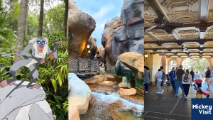 disney world magic kingdom pathway