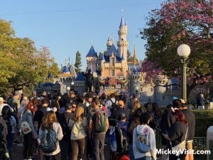 disneyland sleeping beauty castle