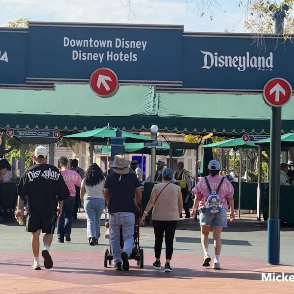 disneyland security entrance