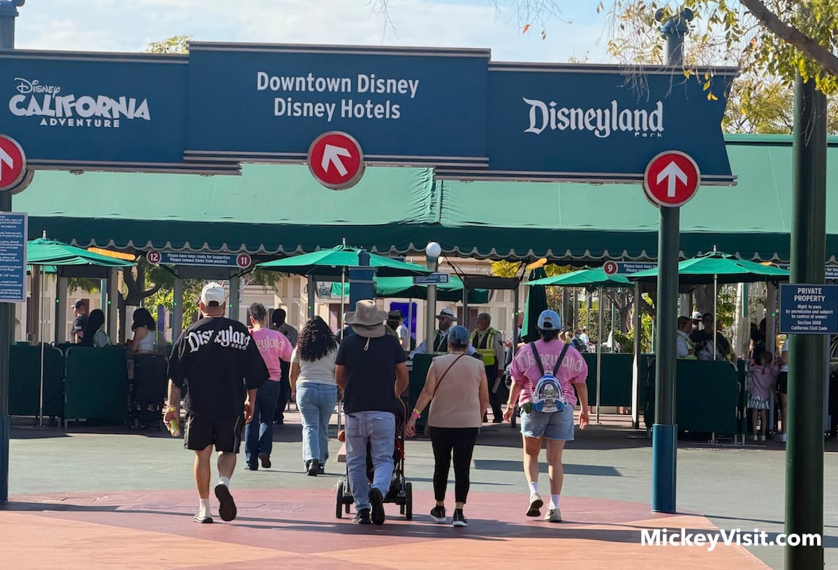 disneyland security entrance