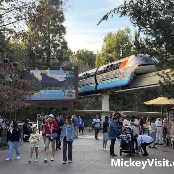disney california adventure monorail grizzly peak