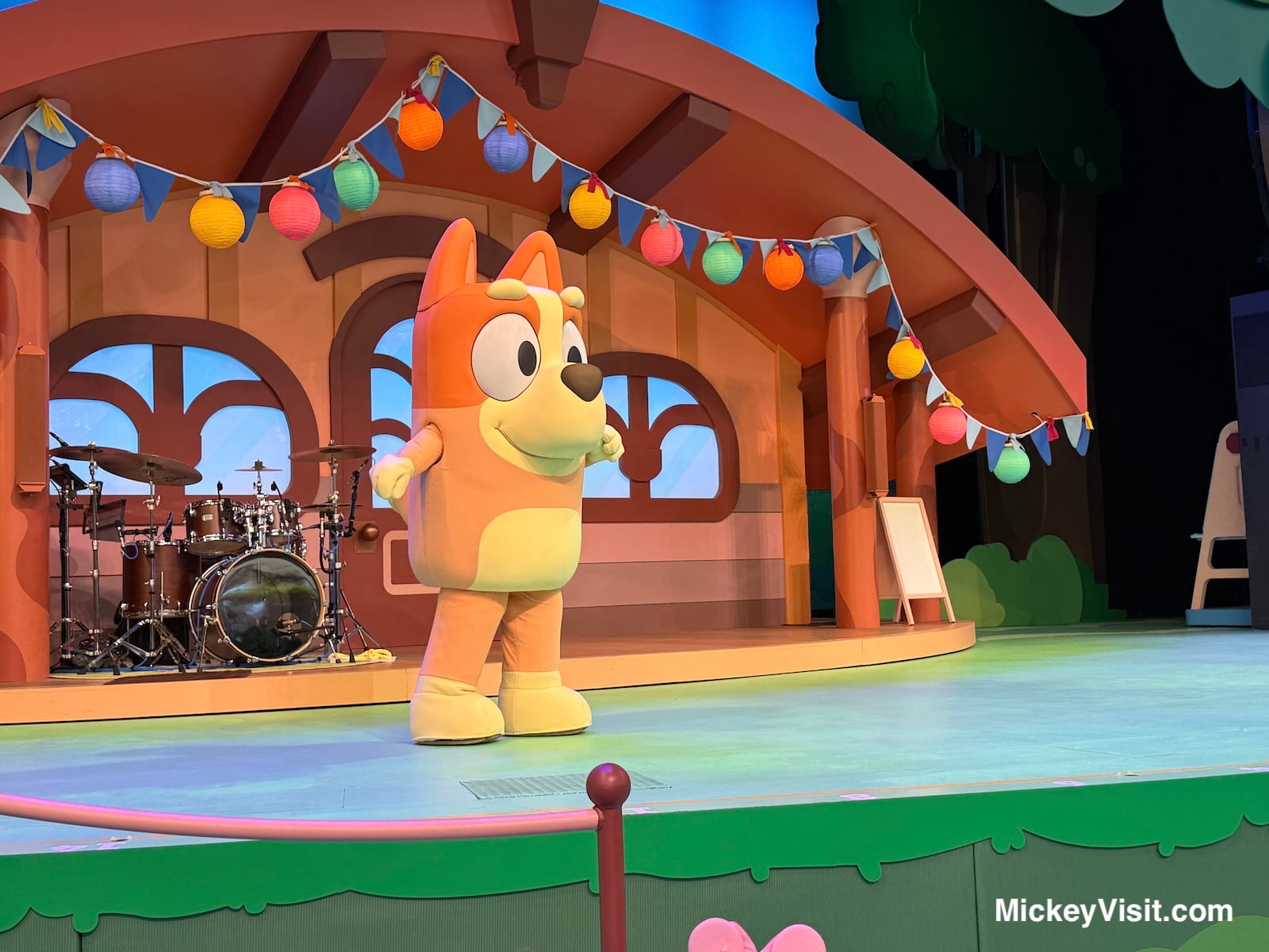 Bingo in new Disneyland Bluey show