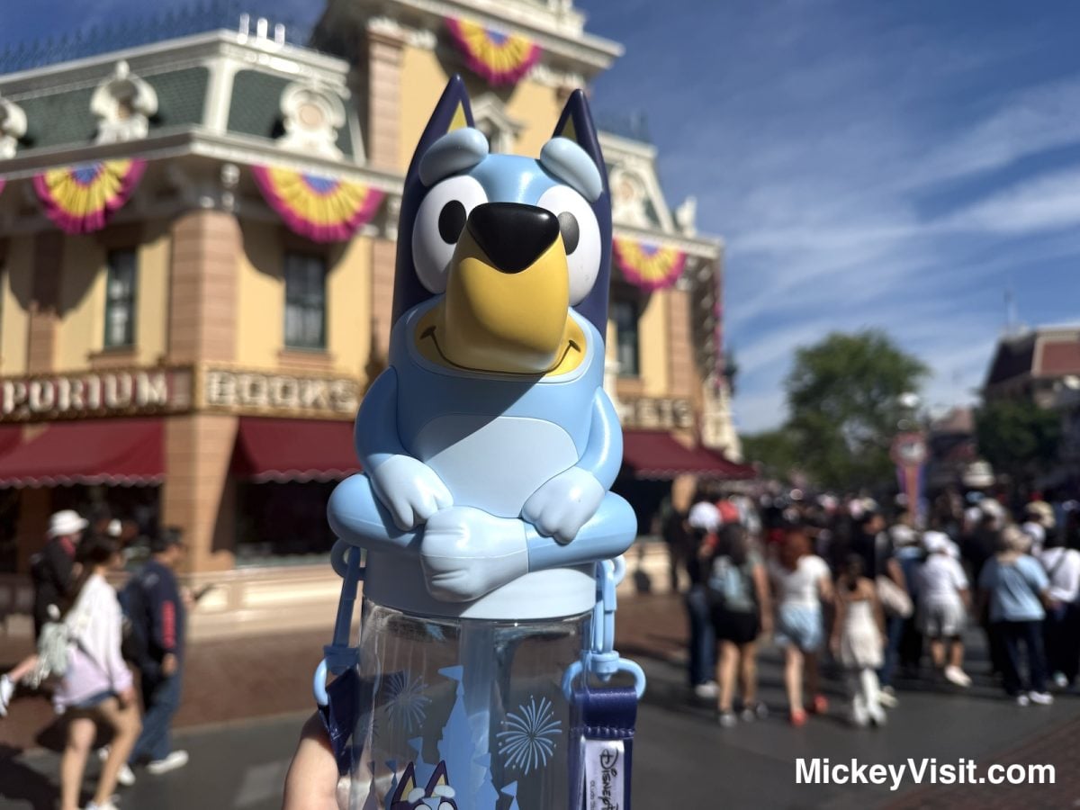 Bluey themed sipper at Disneyland