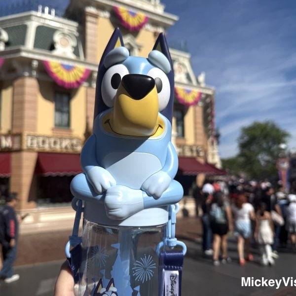 Bluey themed sipper at Disneyland