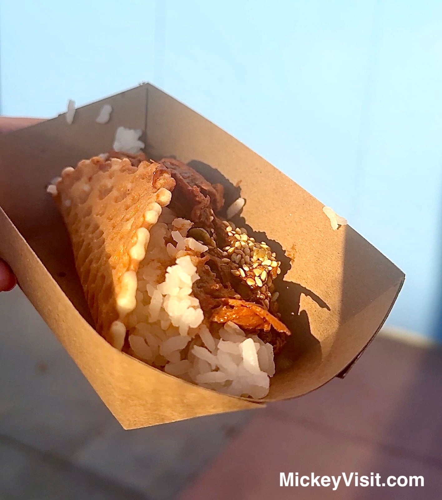 Mole Taco from Disney California Adventure Food & Wine Festival