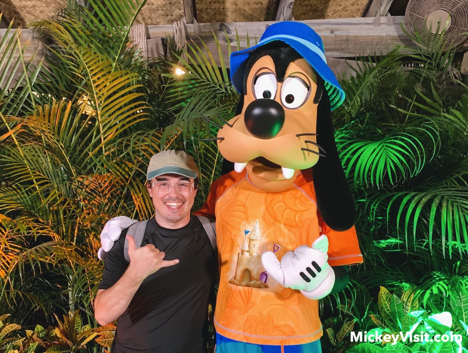 Goofy in beach costume